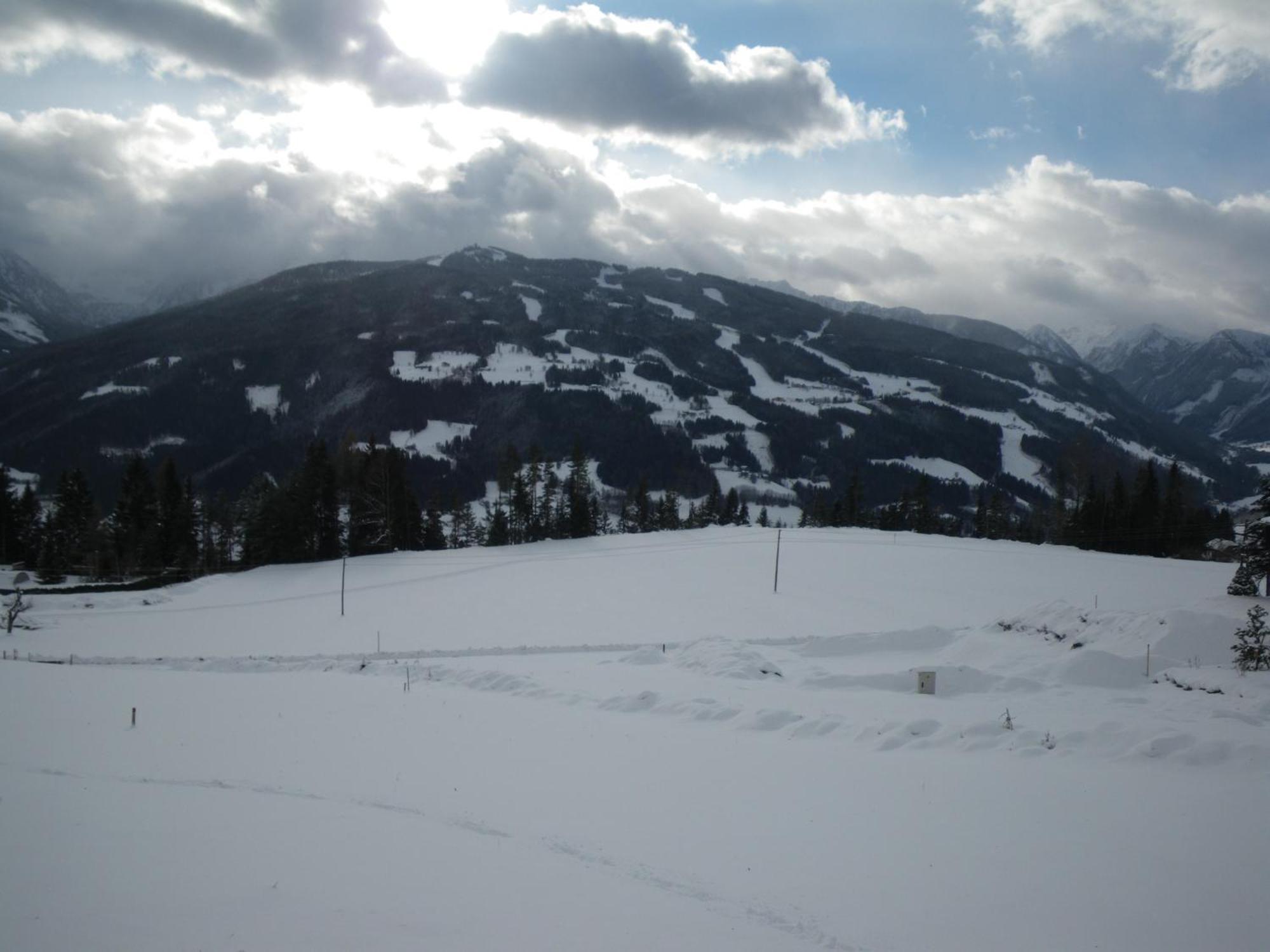 Austrian Alpine Apartments Ramsau am Dachstein Eksteriør bilde