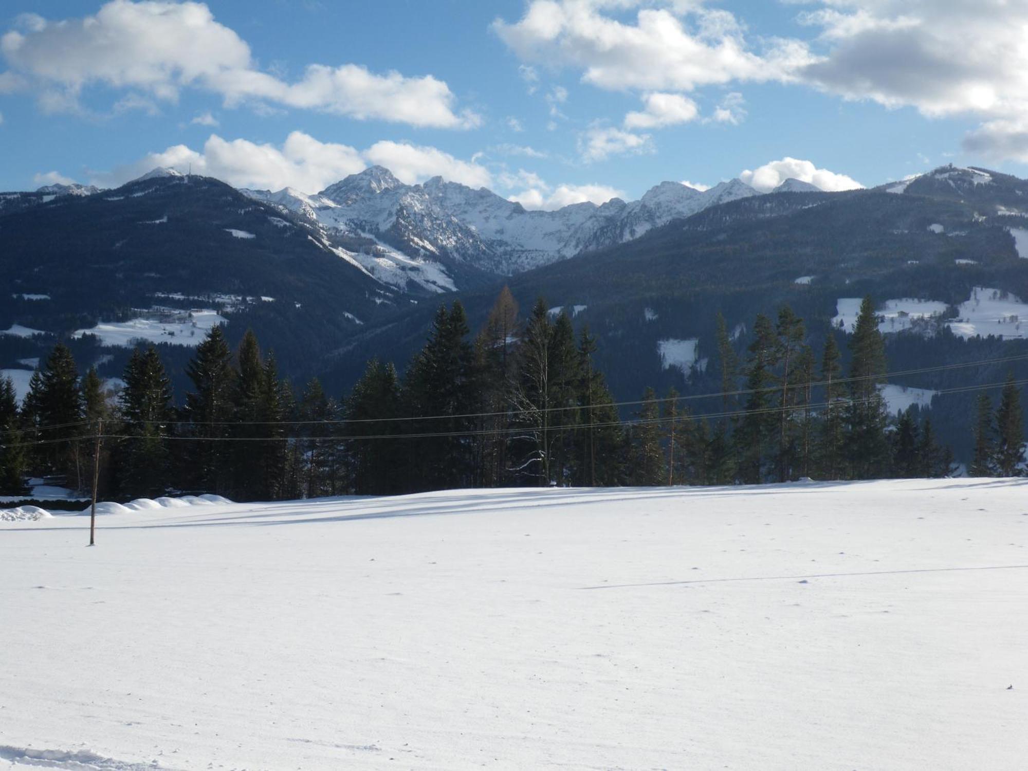 Austrian Alpine Apartments Ramsau am Dachstein Eksteriør bilde
