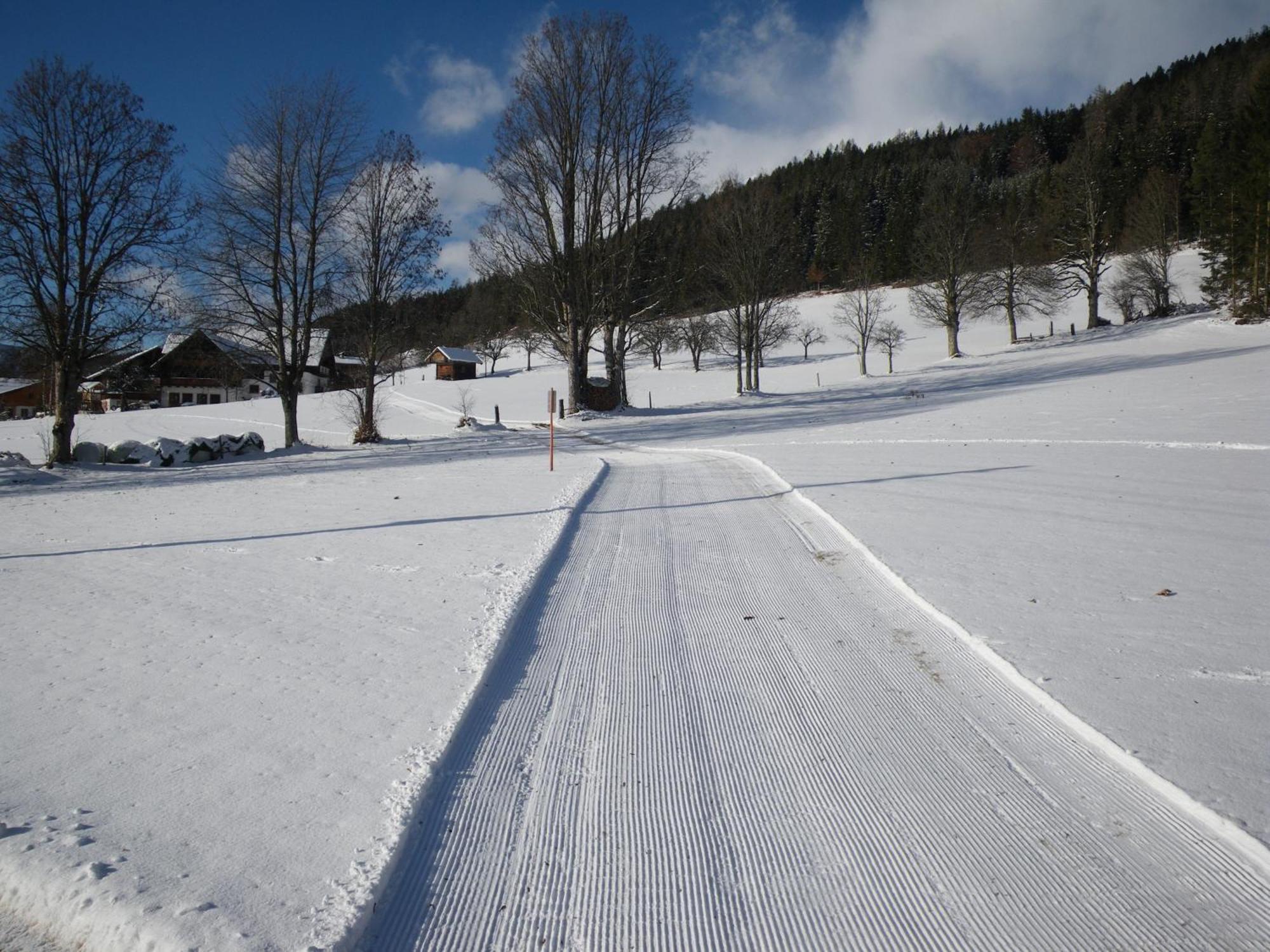 Austrian Alpine Apartments Ramsau am Dachstein Eksteriør bilde